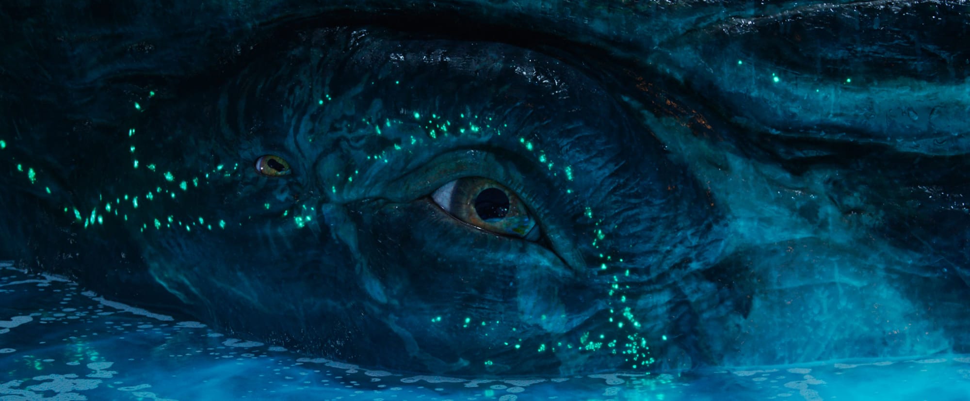 “The Blind Witness to Our End”: Ruminations on James Cameron’s Avatar: Fire and Ash