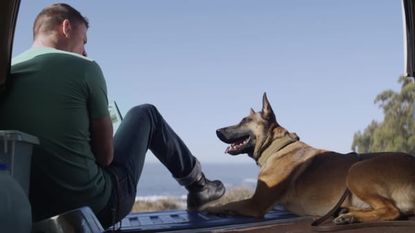 Review: Dog (2022) dir. Channing Tatum and Reid Carolin