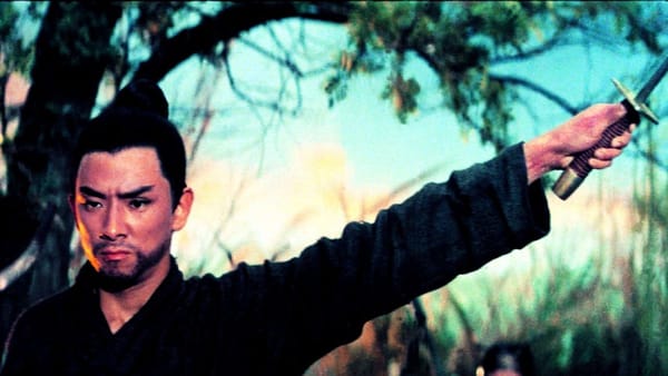 <I>The One-Armed Swordsman</I> and Its Interesting Complications