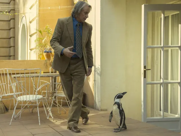 The Penguin Lessons